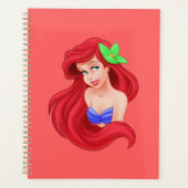 Ariel Planner (Voorkant)
