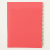 Ariel Planner (Achterkant)