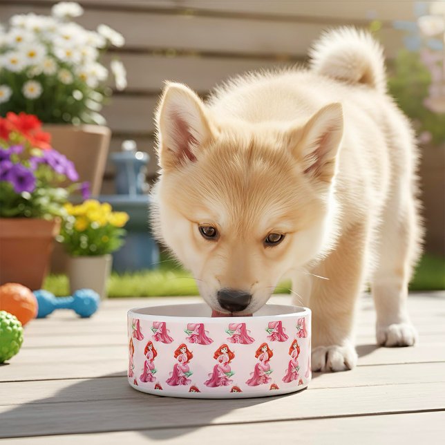 Ariel Voerbakje (Creator heeft geüpload)