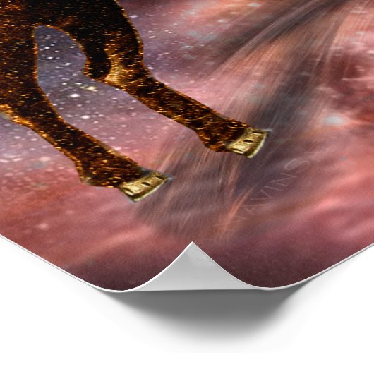 Arienkenmerken Poster (Hoek)