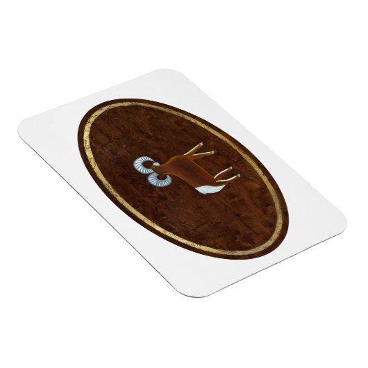 Aries 2008 magneet (Rechterzijde)