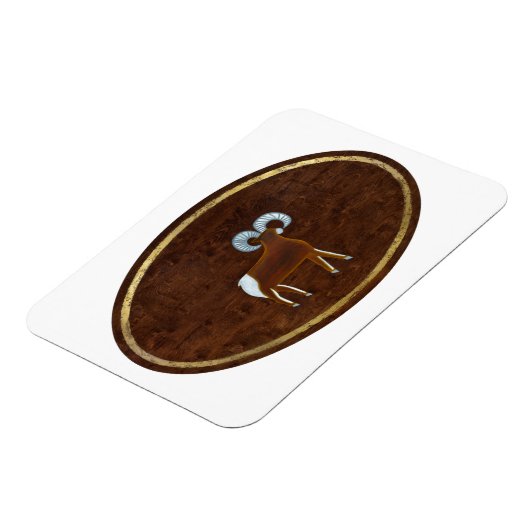 Aries 2008 magneet (Linkerzijde)