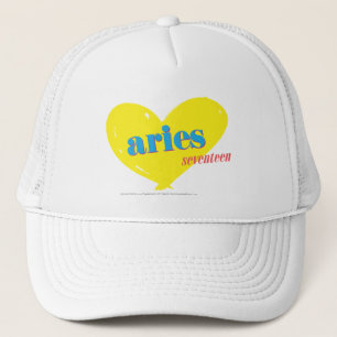 Aries 3 trucker pet
