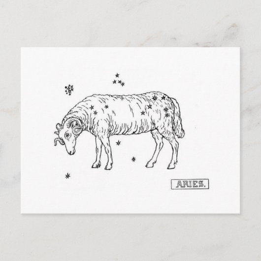 Aries Briefkaart (Voorkant)