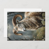 Aries Briefkaart (Voorkant / Achterkant)