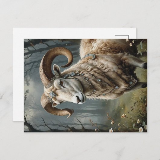 Aries Briefkaart (Voorkant / Achterkant)