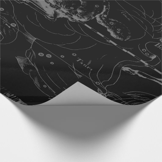 Aries Constellation Hevelius op Black Cadeaupapier (Hoek)