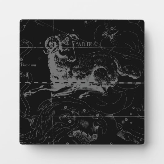Aries Constellation Hevelius  op Black Fotoplaat (Voorkant)