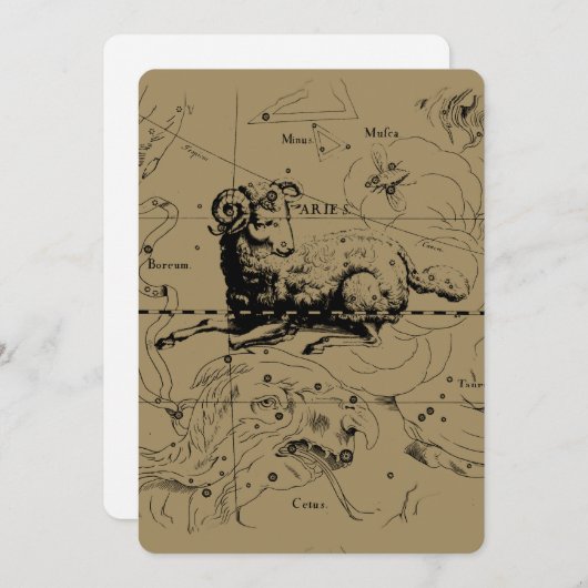 Aries Constellation Map Engraving by Hevelius (Voorkant / Achterkant)