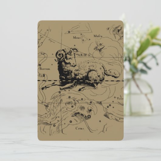 Aries Constellation Map Engraving by Hevelius (Staand voorkant)