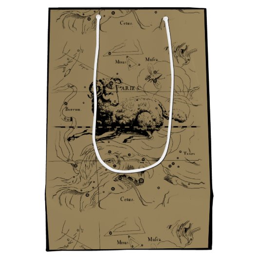 Aries Constellation Map Engraving by Hevelius Medium Cadeauzakje (Achterkant)