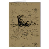 Aries Constellation Map Hevelius 1690 (Voorkant)