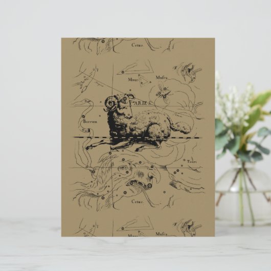 Aries Constellation Map Hevelius 1690 (Staand voorkant)