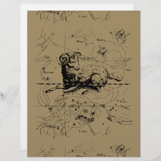 Aries Constellation Map Hevelius 1690 (Voorkant / Achterkant)