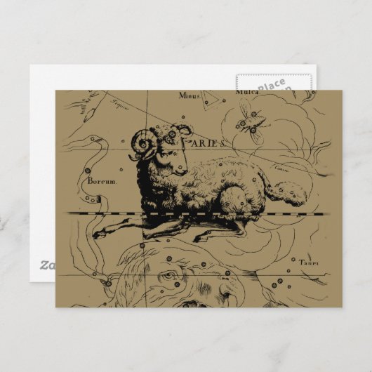 Aries Constellation Map Hevelius 1690 Briefkaart (Voorkant / Achterkant)