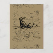 Aries Constellation Map Hevelius 1690 Briefkaart (Voorkant)