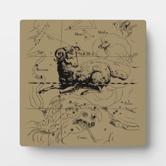  Aries Constellation Map Hevelius 1690 Fotoplaat (Voorkant)