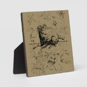  Aries Constellation Map Hevelius 1690 Fotoplaat (Voorkant)