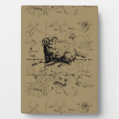 Aries Constellation Map Hevelius 1690 Fotoplaat (voorkant)