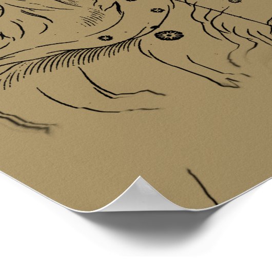  Aries Constellation Map Hevelius 1690 Poster (Hoek)