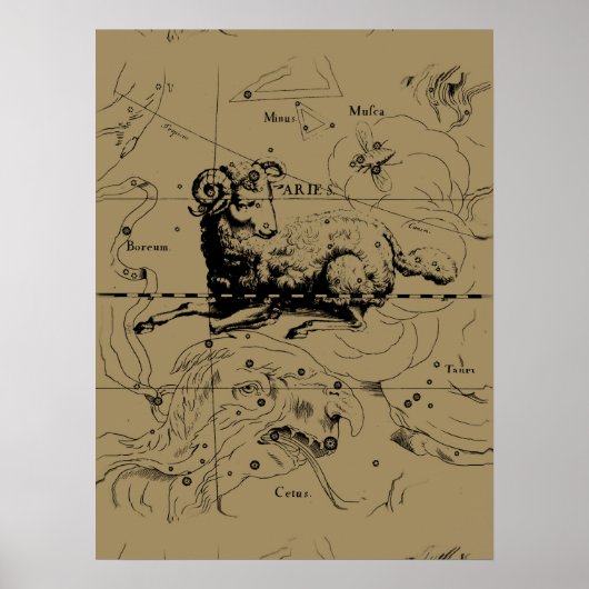  Aries Constellation Map Hevelius 1690 Poster (Voorkant)