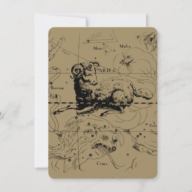 Aries Constellation Map Hevelius circa 1690 (Voorkant)