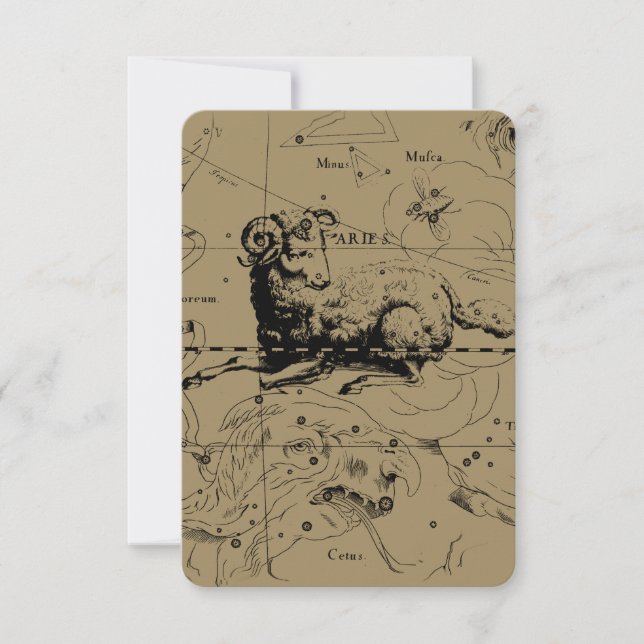 Aries Constellation Map Hevelius circa 1690 (Voorkant)