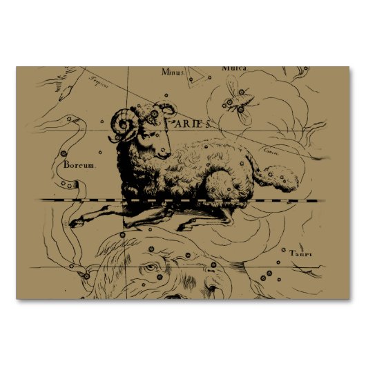 Aries Constellation Map Hevelius circa 1690 Kaart (Voorkant)