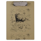 Aries Constellation Map Hevelius circa 1690 Klembord (Voorkant)