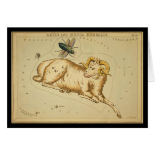 Aries en Musca Borealis