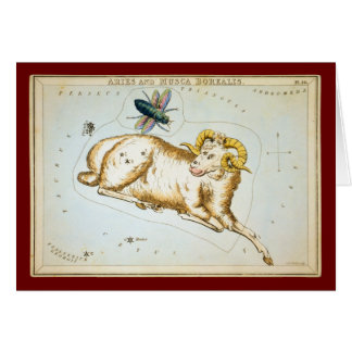 Aries en Musca Borealis