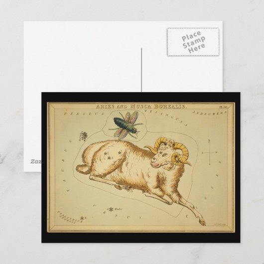 Aries en Musca Borealis Briefkaart (Voorkant / Achterkant)