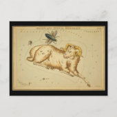 Aries en Musca Borealis Briefkaart (Voorkant)