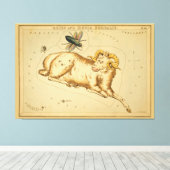 Aries en Musca - teken van het Afbeelding van de Canvas Afdruk (Insitu (Houten vloer))