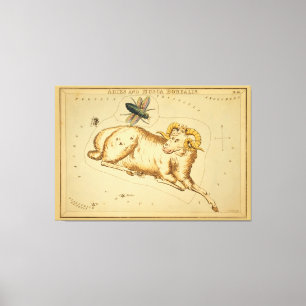 Aries en Musca -  teken van het Afbeelding van de  Canvas Afdruk