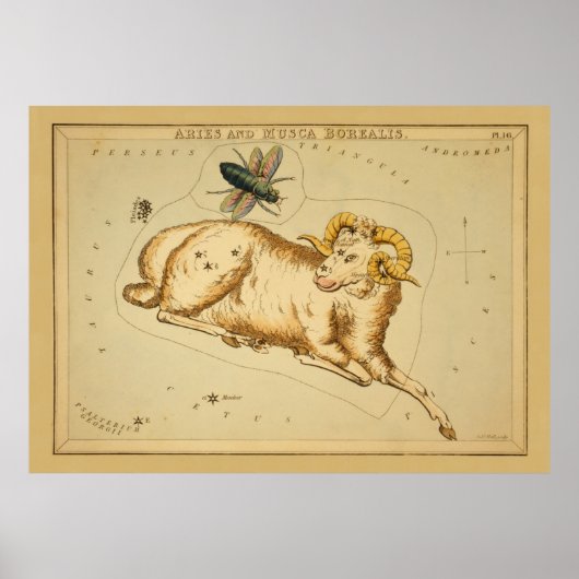 Aries en Musca -  teken van het Afbeelding van de  Poster (Voorkant)