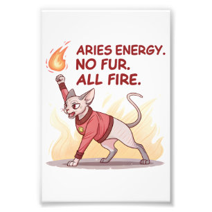 Aries Energie Sphynx Kat Geen Vacht Alle Vuur Kuns Foto Afdruk