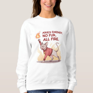 Aries Energie Sphynx Kat Geen Vacht Alle Vuur Kuns Trui