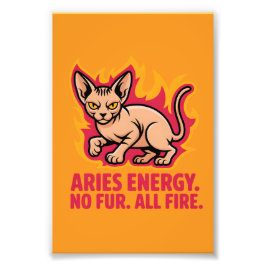 Aries Energy Sphynx Cat Fire Illustration Foto Afdruk