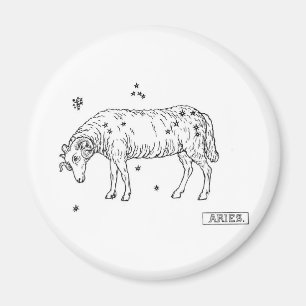 Aries Magneet