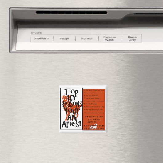 Aries Magneet (Insitu (Vaatwasser))