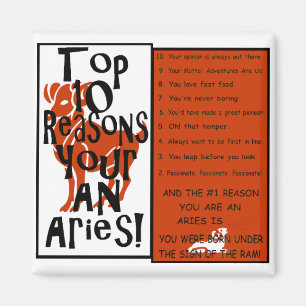 Aries Magneet