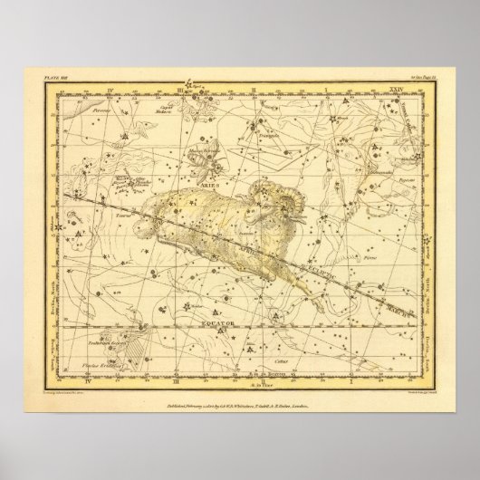 Aries, Musca Borealis Poster (Voorkant)