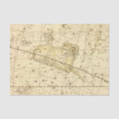 Aries, Musca Borealis Tissuepapier (Voorkant)