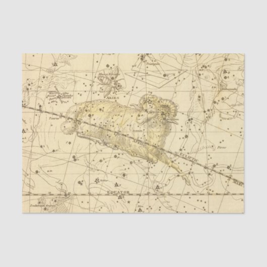 Aries, Musca Borealis Tissuepapier (Voorkant)