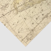 Aries, Musca Borealis Tissuepapier (Detail)