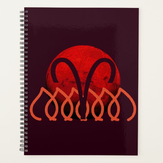 Aries Planner (Voorkant)