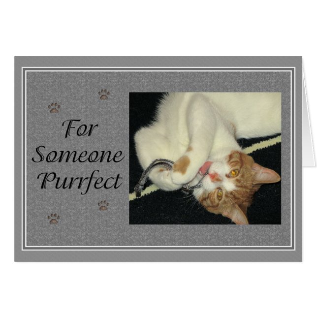 Aries Purrfect (Voorkant Horizontaal)