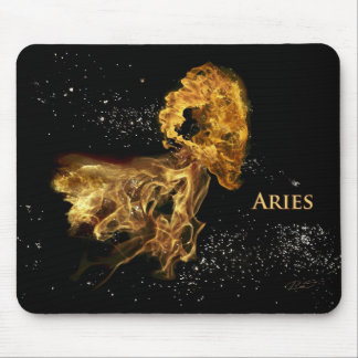 Aries-Ram Muismat