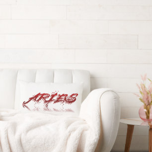 Aries Reflectie Kussen